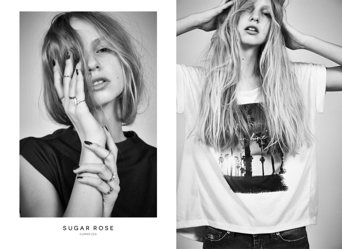Cha sugarRo
