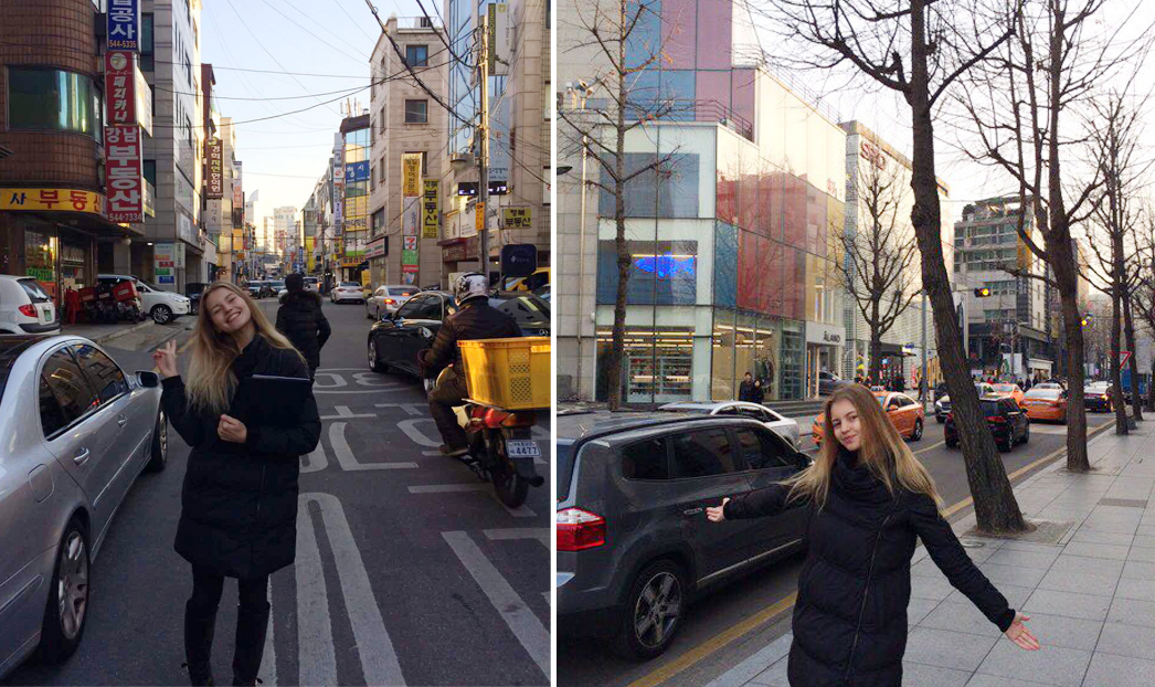Levits Korea